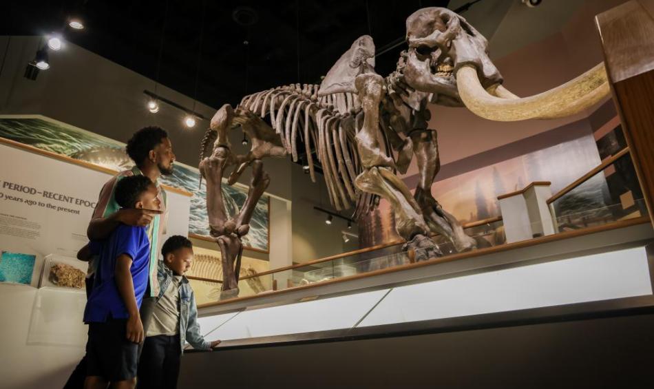 Family viewing a life-sized mastodon display at the Memphis Museum of Science and History. | Alex Shansky