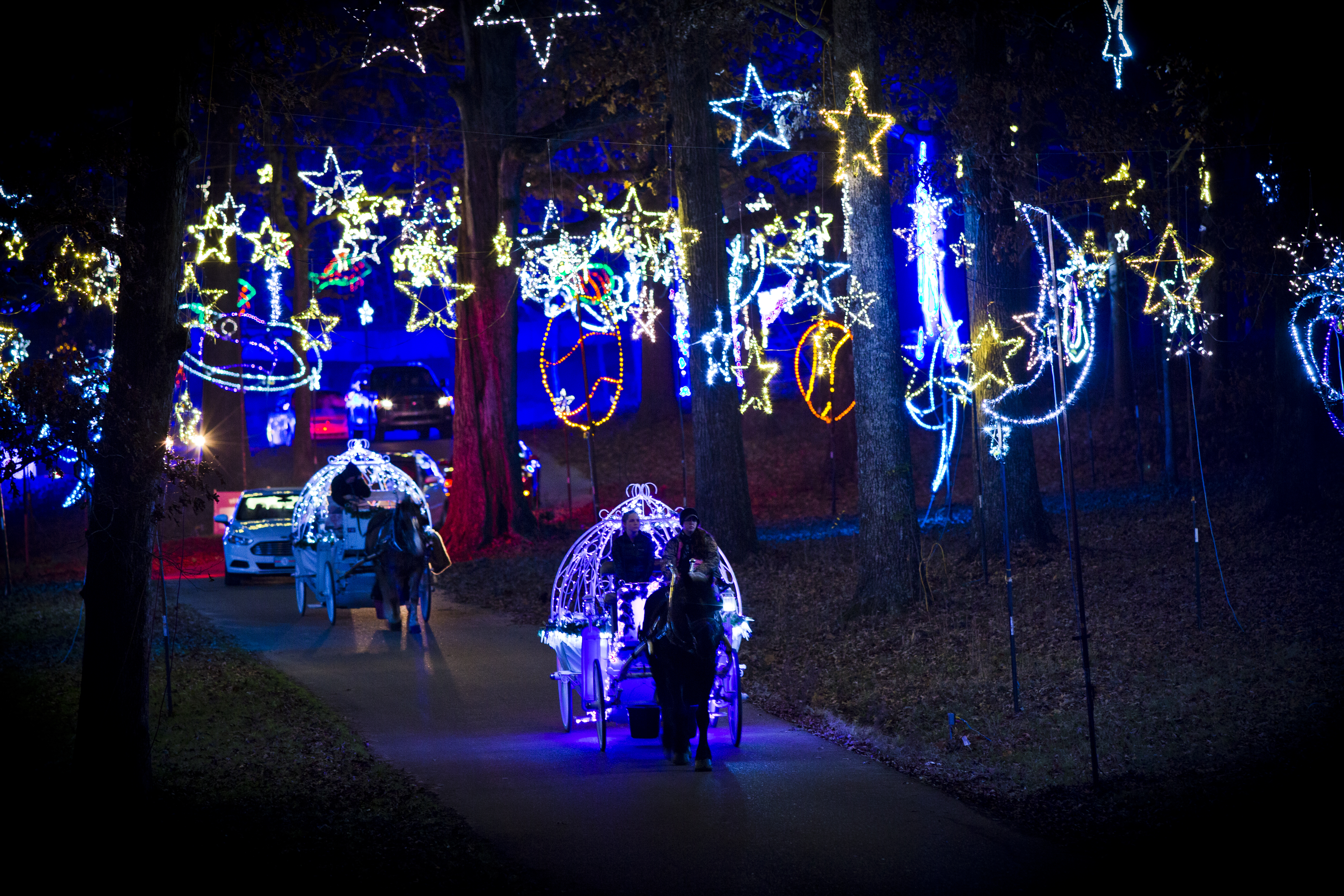 horse drawn carriage strolls through starry nights light display
