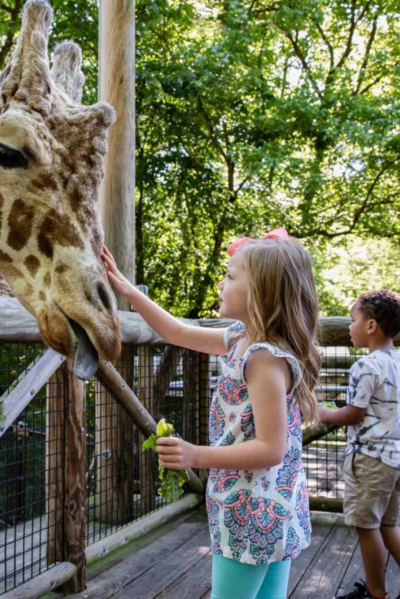 Memphis Fire Museum, Memphis Botanic Gardens, Childrens Museum of Memphis, Memphis Zoo