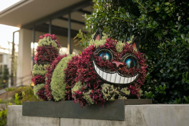 Botanical Gardens Alice in Wonderland: Enchanted Escapes
