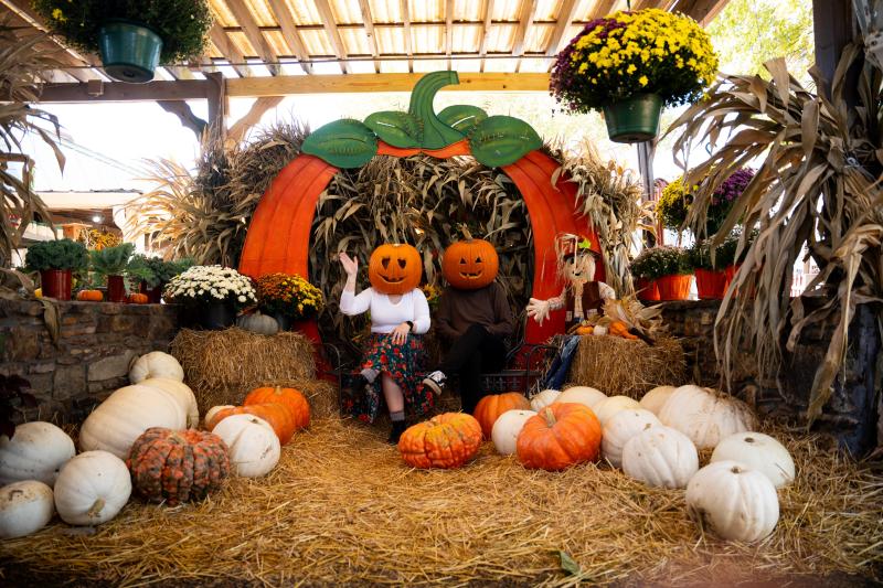 two people with pumpkin heads post with pumpkin photo op display