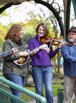 Live bluegrass music in Collierville