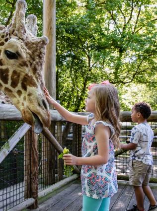 Memphis' biggest family attractions. 