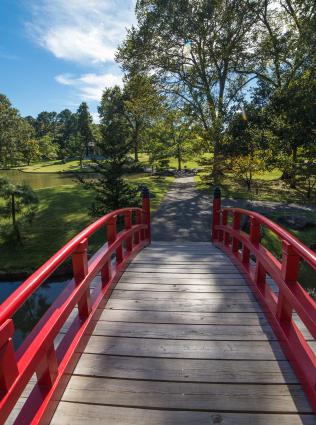 red bridge at memphis botanic garden