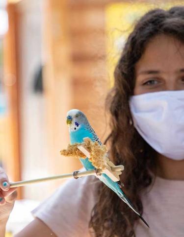 Feed a budgie at Memphis Zoo