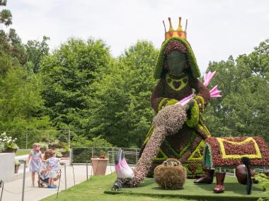 Alice in Wonderland Memphis Botanic Gardens / Atlanta Botanic Gardens