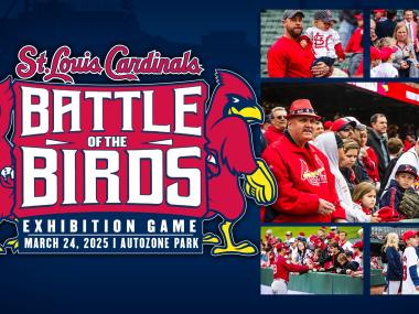 battle of the birds event graphic