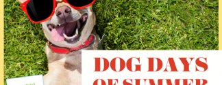 Dog Days MBG