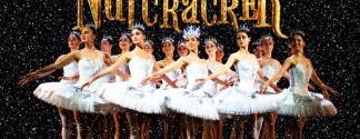 nutcracker main website 