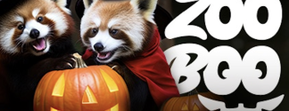graphic for zoo boo event