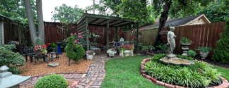 backyard garden