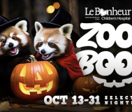 graphic for zoo boo event