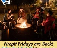 people sitting around a fire at night at park