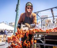 man pushes crawfish into bucket