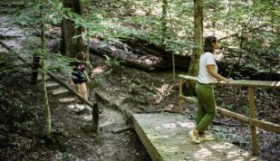 Meeman Shelby Forest State Park