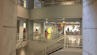 Brooks - Holly Whitfield Photo