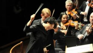 Memphis Symphony Orchestra. Photo by Andrea Zucker. Photo