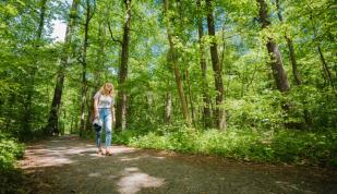 Nature Trail Photo