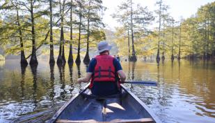 Canoeing at Eagle Lake in Meeman Shelby Forest State Park  Photo