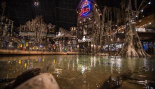 Uncle Buck's Fish Bowl and indoor pond inside Bass Pro Shops at the Pyramid Photo