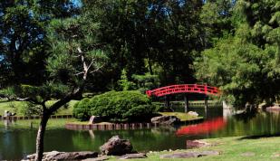 The Memphis Botanic Garden offers a haven of both natural serenity and fun for the family with its My Big Backyard children's area, farmers market, plant sales, paths and Japanese garden. Photo