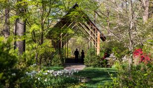 Blecken Pavillion - Mike Kerr Photo