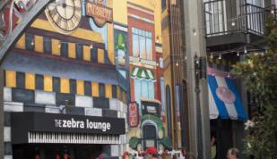 Zebra Lounge and alley in Overton Square Entertainment District Photo