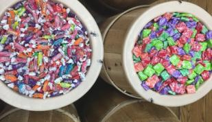 Candy - Holly Whitfield Photo