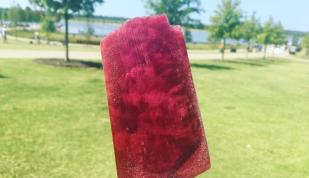 Mempop - Holly Whitfield Photo