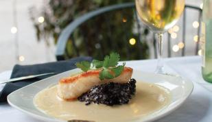 Entree Sea Bass - Tsunami Photo