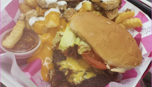 Burger - Fabulous Flavors Photo