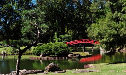Japanese Garden at the Memphis Botanic Garden | Andrea Zucker