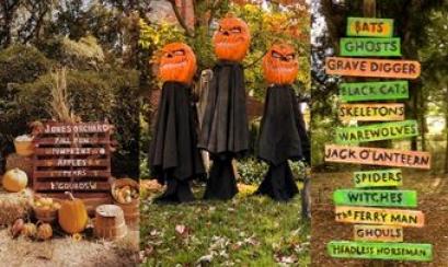 Memphis Halloween Fun | Holly Whitfield