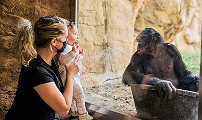 Guests discover a primate habitat at Memphis Zoo | Memphis Zoo