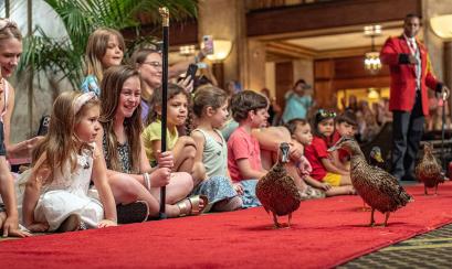 Duckmaster Kenon Walker with The Peabody Ducks during The Peabody Memphis hotel's daily duck march | The Peabody