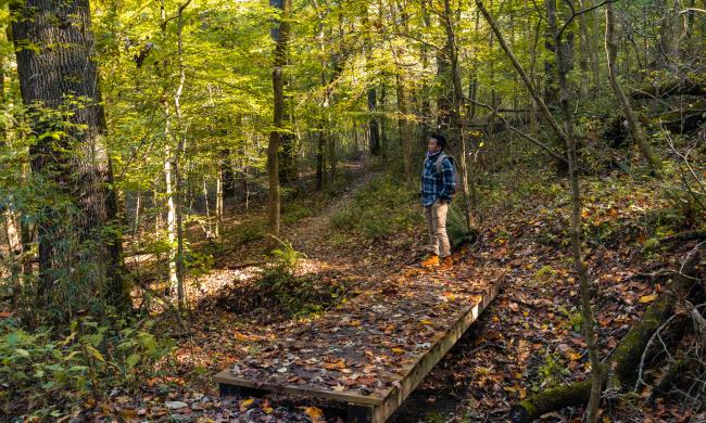 Hiking trail at Shelby Forest State Park near Memphis | Connor Ryan