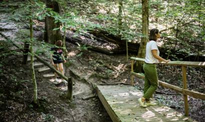 Meeman-Shelby Forest State Park | Alex Shansky