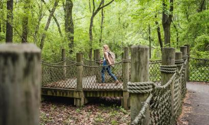 Turtle Bayou trails along Wolf River Greenway | Sean Fisher
