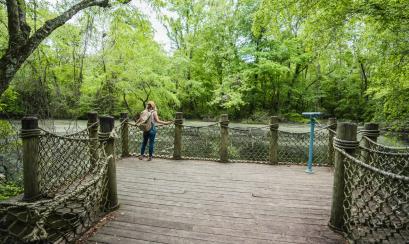 Turtle Bayou along Wolf River Greenway | Sean Fisher