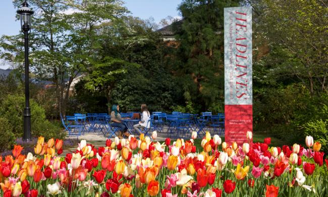 Dixon Garden with tulips