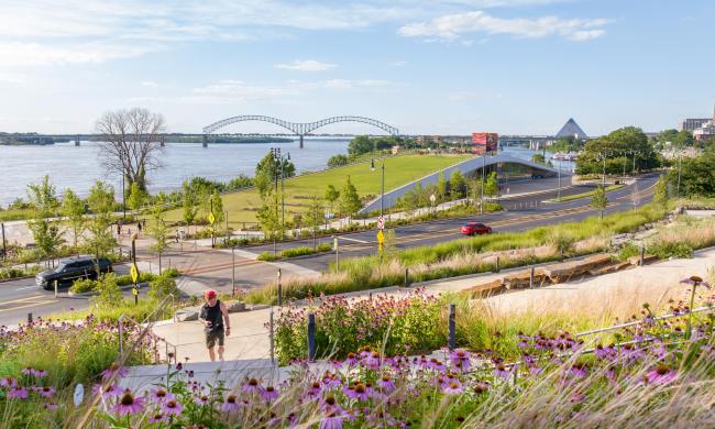 Carlisle Cutbank bluff overlooking the Mississippi River
