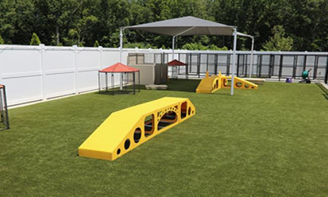 Outdoor play area at PetSuites Collierville