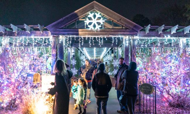 Guests enjoying holiday light displays at Holiday Wonders at Memphis Botanic Garden.