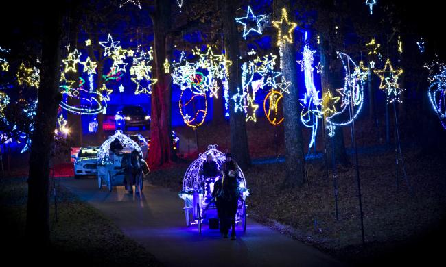 horse drawn carriages walk through starry nights lights display