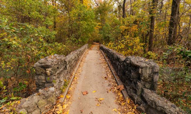A trail leading over a small stone bridge surrounded by fall colors at Overton Park.