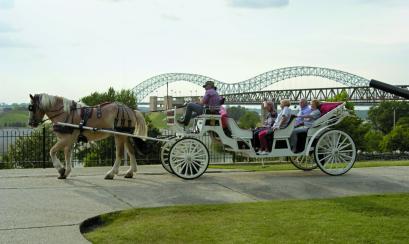 Carriage Ride | Andrea Zucker Horse Carriage Ride in Memphis