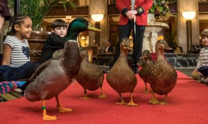 Peabody Duck March Peabody Duck March