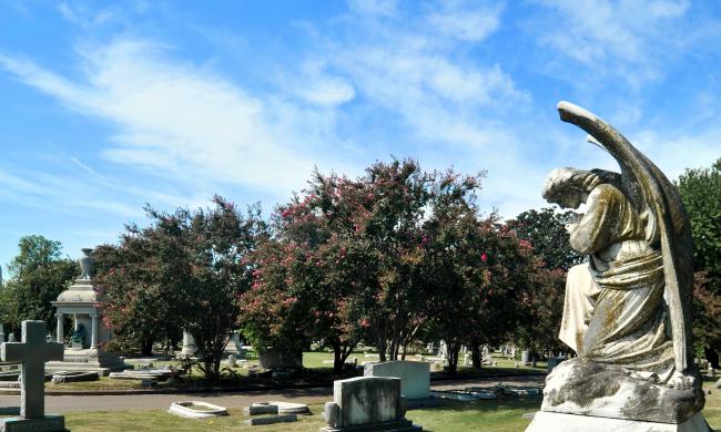 Inside Elmwood Cemetery / Andrea Zucker