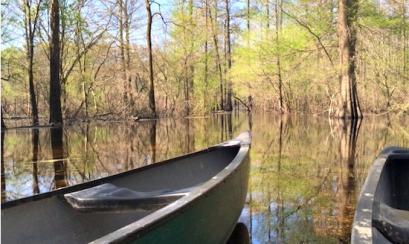 Shelby Forest State Park Canoe