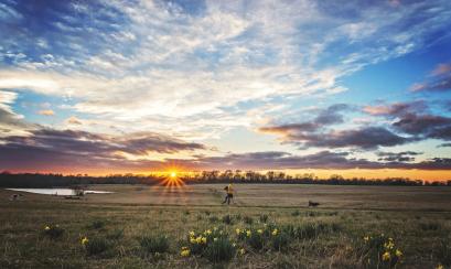 Shelby Farms Park | Phillip Van Zandt Shelby Farms Park | Phillip Van Zandt
